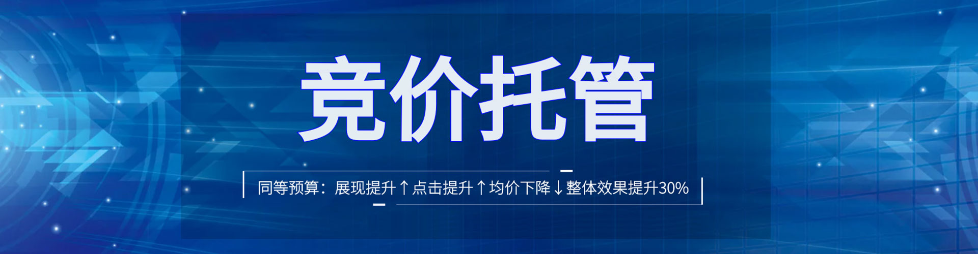 项城sem运营